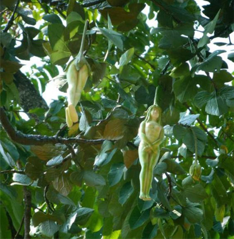 nareepon की फोटो Loading...